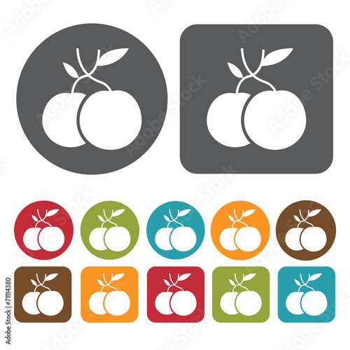 Fruits Icon. Breakfast And Dining Sign Icons Set. Round And Rect