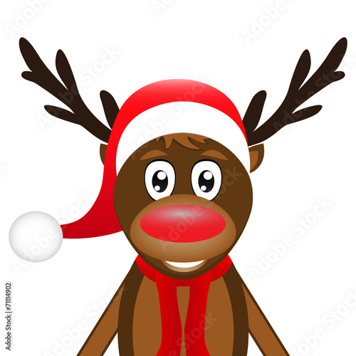 reindeer on a white background