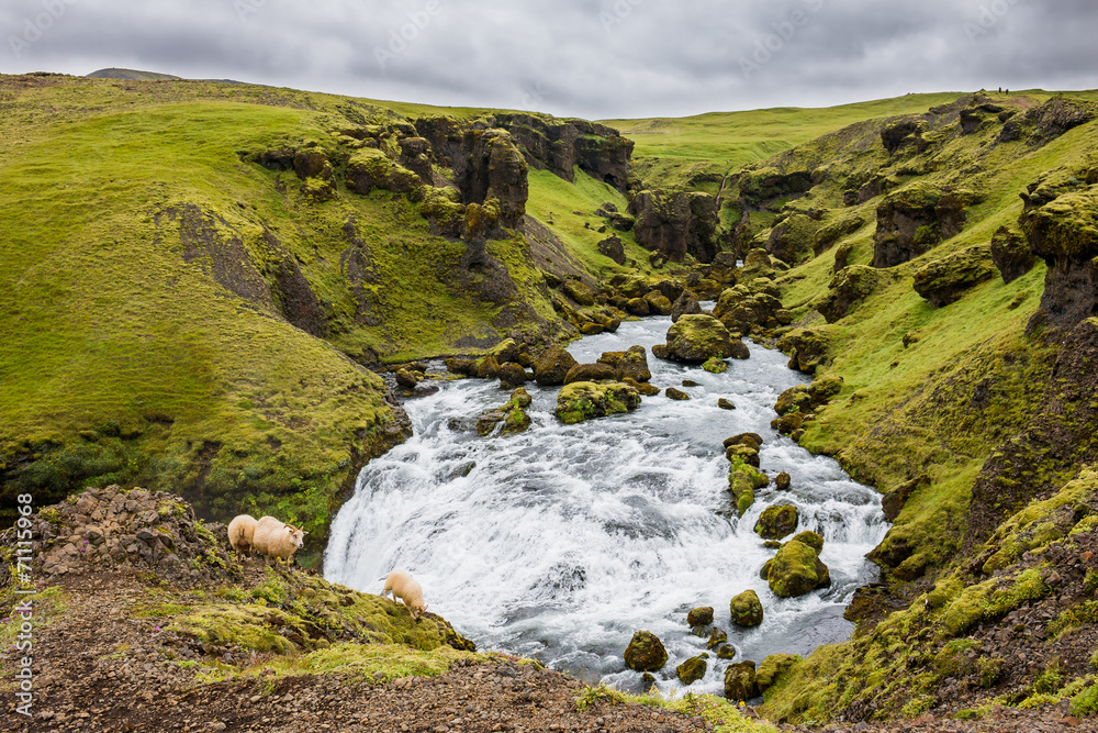 Skogarfoss skógafoss rivière chutes Islande Skogarfoss skógafoss rivière chutes Islande