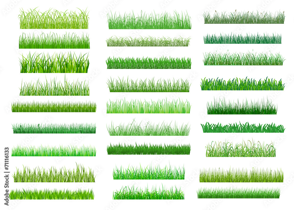 Obraz premium Świeże zielone wiosenne trawy granic
