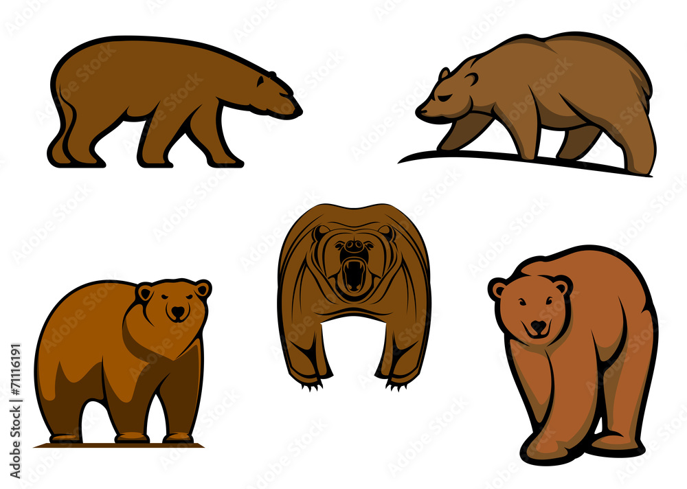 Brown wild bear characters