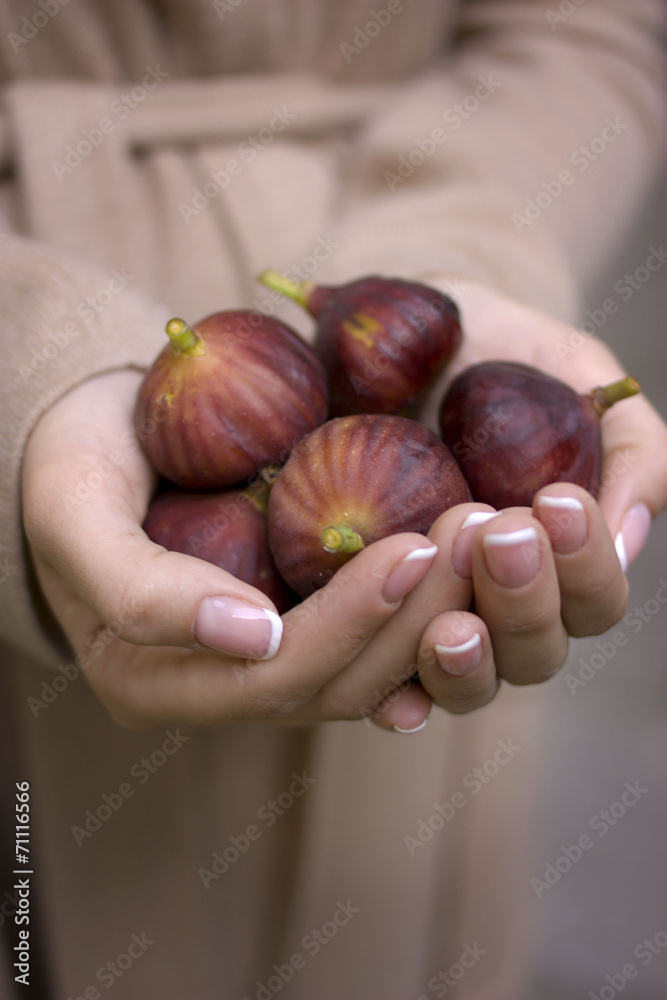 Handful of ripe figs Handful of ripe figs