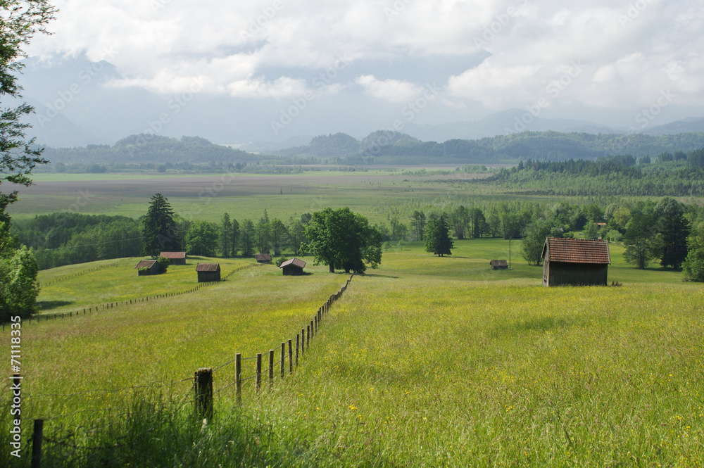 Rural view with meadow and mountains