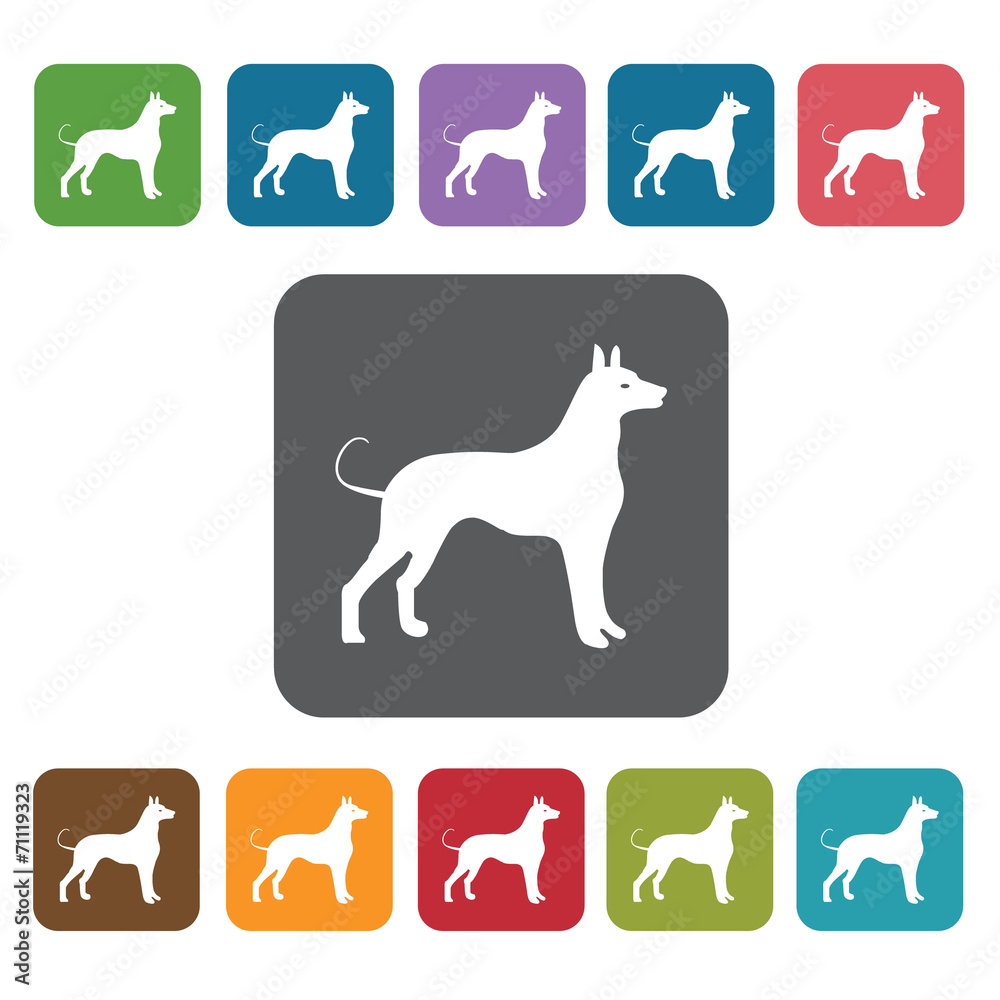 Year Of The Dog Icon. Zodiac Symbol Sign Icons Set. Rectangle Co