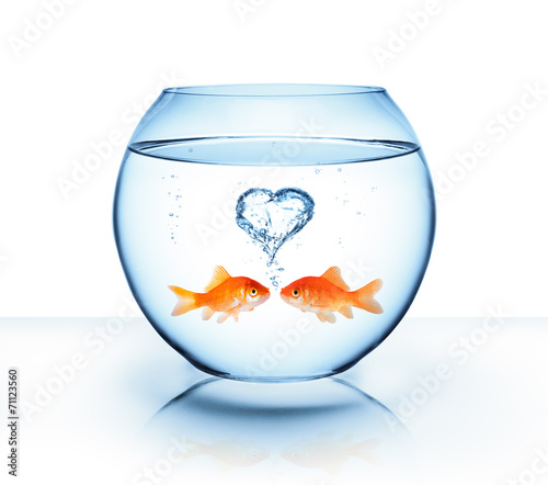 goldfish in love - romantic concept