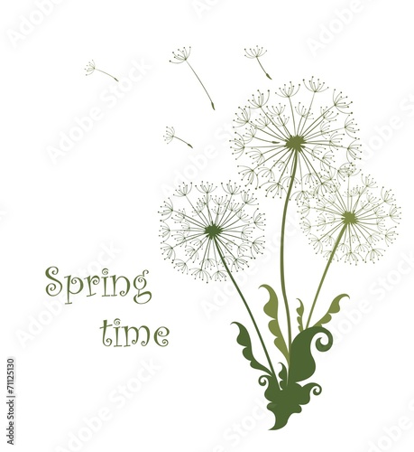 Spring card with dandelions