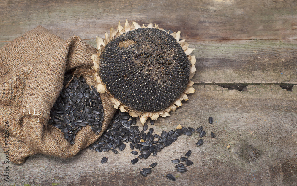 dried Sunflower and seeds in burlap bag on wooden background dried Sunflower and seeds in burlap bag on wooden background