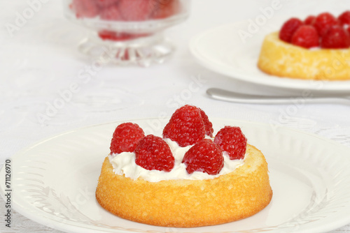 macro raspberry shortcake