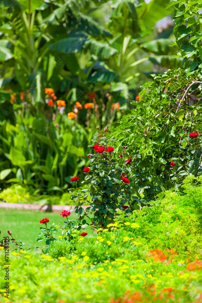 Garten - zarte rote Glöckchen und Rosen