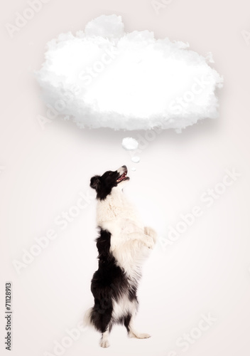 Cute dog with empty cloud bubble