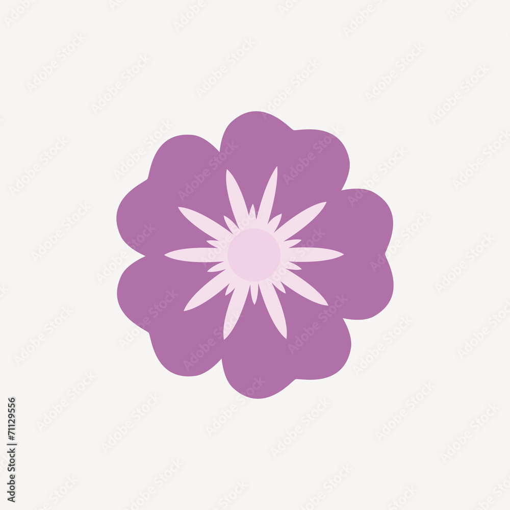 Flower Flower
