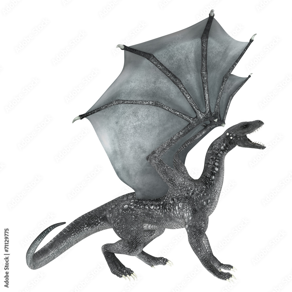 Fototapeta premium Fantasy Dragon