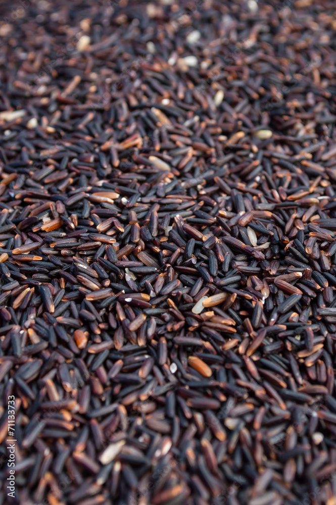 rice rice