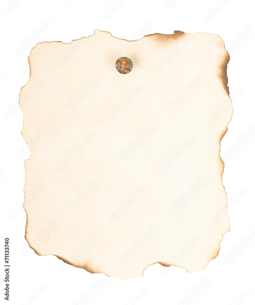 The paper The paper