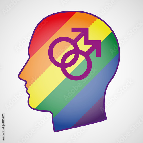 head with a gay pride flag