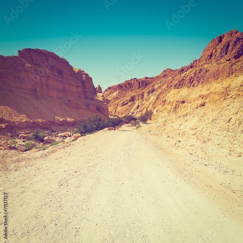 Road in Desert