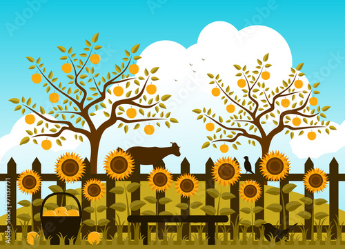 apple harvest
