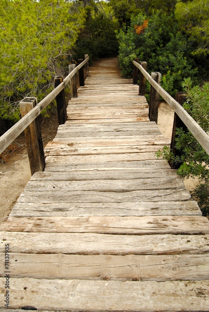 Puente de madera Puente de madera