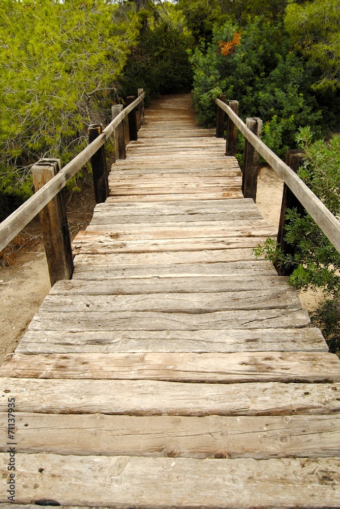 Puente de madera