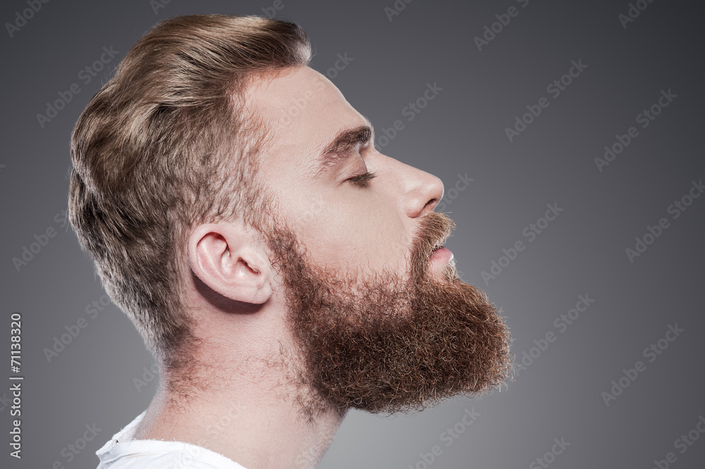 Fototapeta premium Bearded handsome.