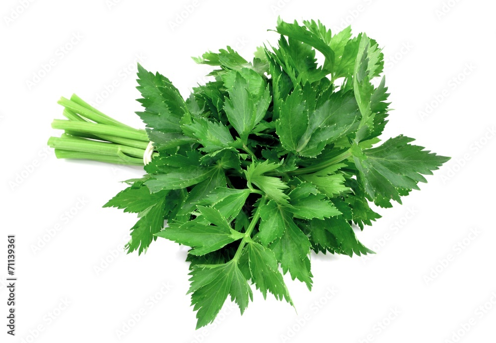 celery leaves