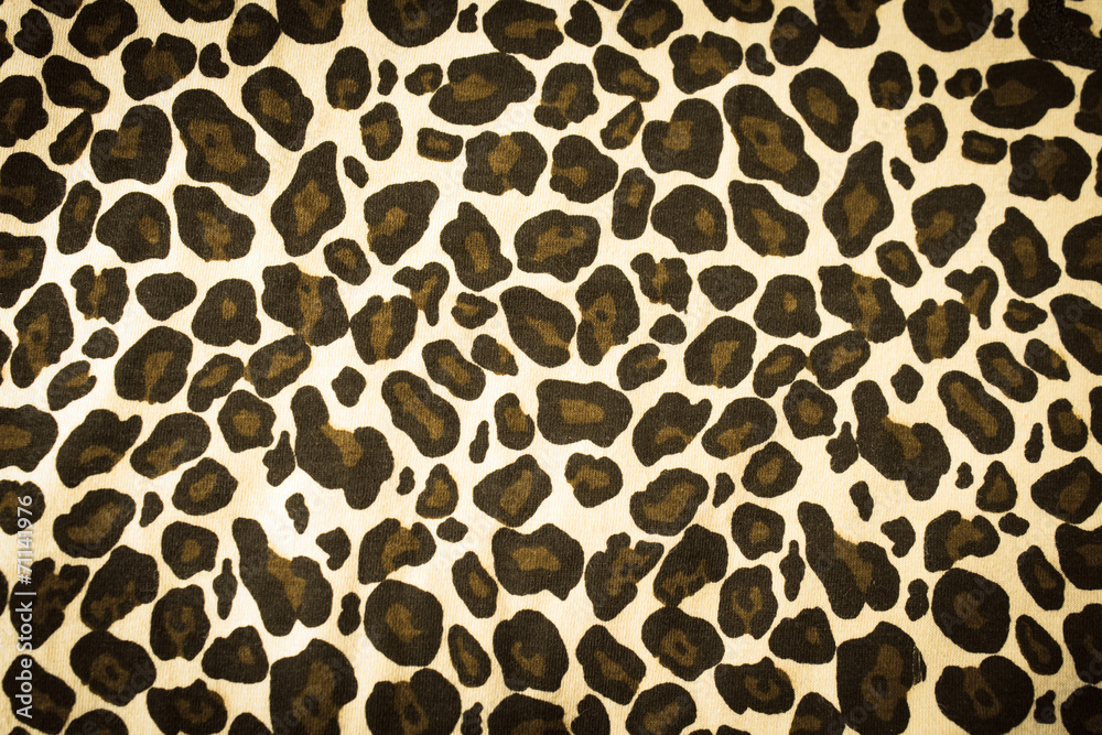 Leopard background Leopard background