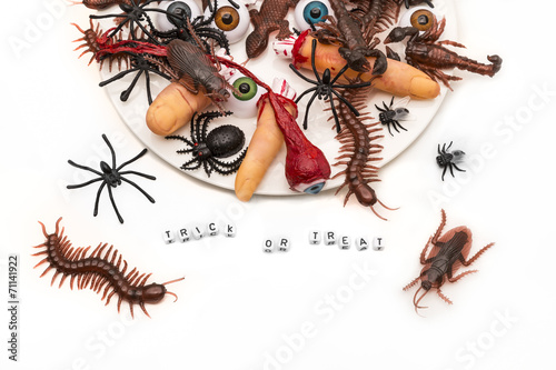 Trick or Treat candy bugs spilling out onto white background