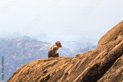 Monkey in the mountain © xmagics