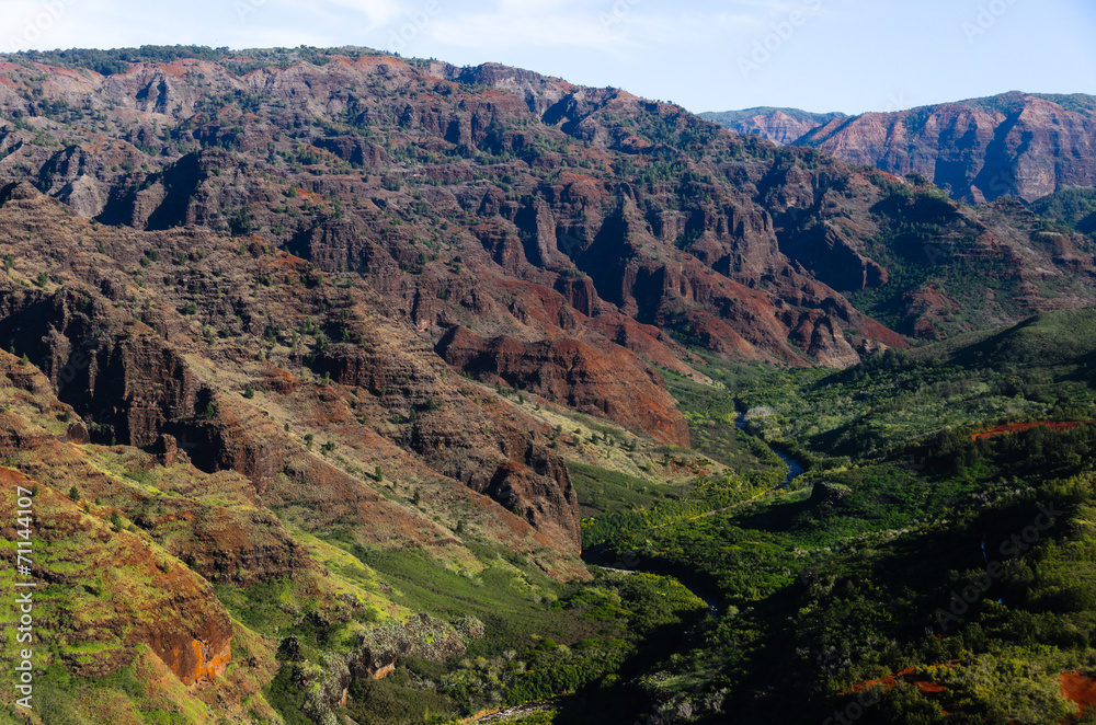 Red and green in Waimea canyon Red and green in Waimea canyon