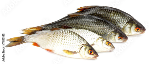 Panel kuchenny z motywem płoć