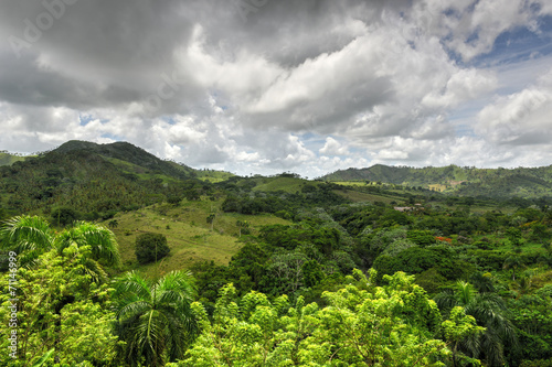 Fototapeta Naklejka Na Ścianę i Meble -  Tropical Forest, Dominican Republic