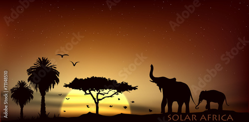 sunrise over the savannah with African elephants and trees