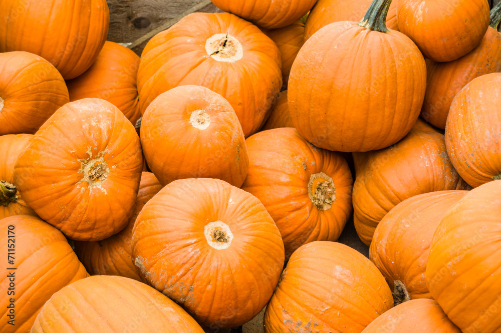 Orange pumpkins on display Orange pumpkins on display