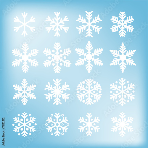 Various snowflakes