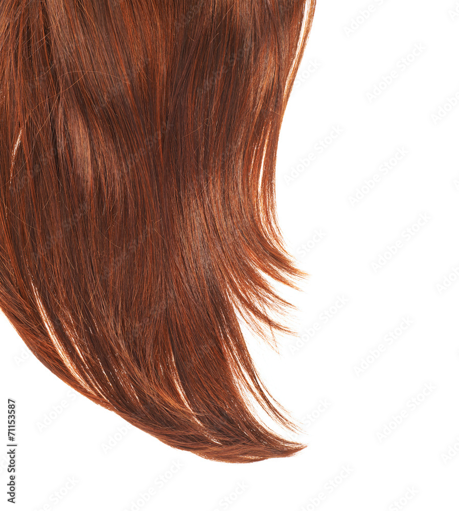 Hair fragment over the white Hair fragment over the white