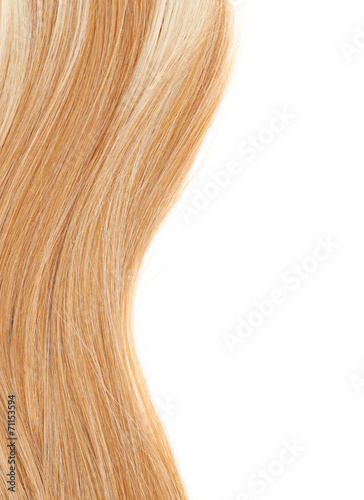 Hair fragment over the white