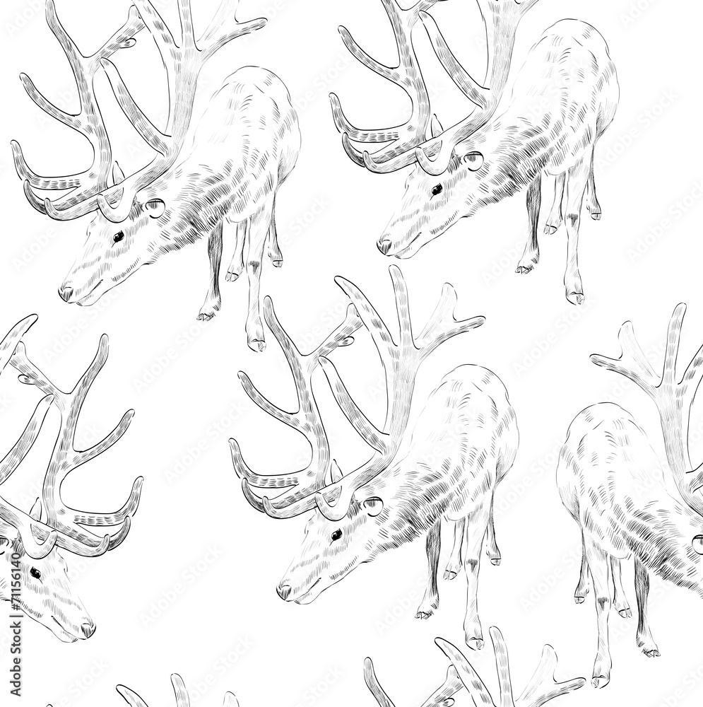 Fototapeta premium Sketch deer