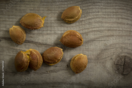 Apricot seeds