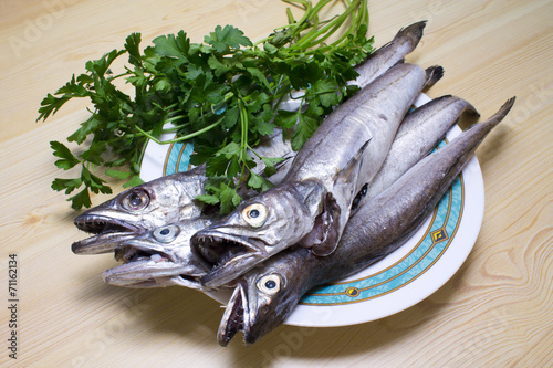 fresh hake on the plate
