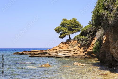Picturesque stone beach with vegetation.