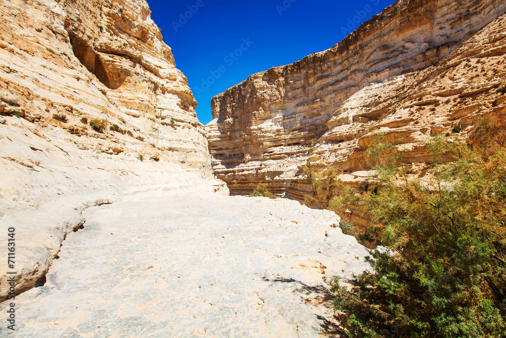 Fototapeta premium landscape of the Negev desert mountains