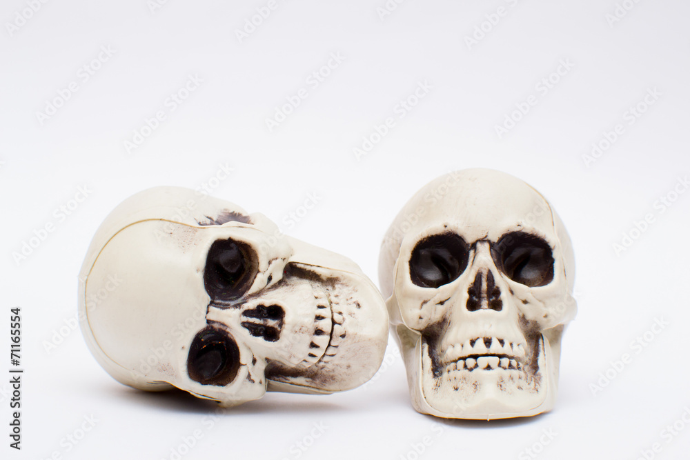 halloween skull halloween skull