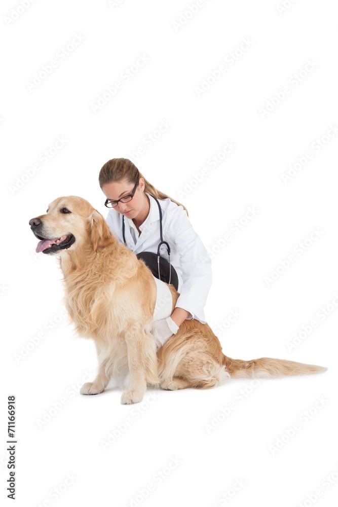 Smiling vet with a labrador Smiling vet with a labrador