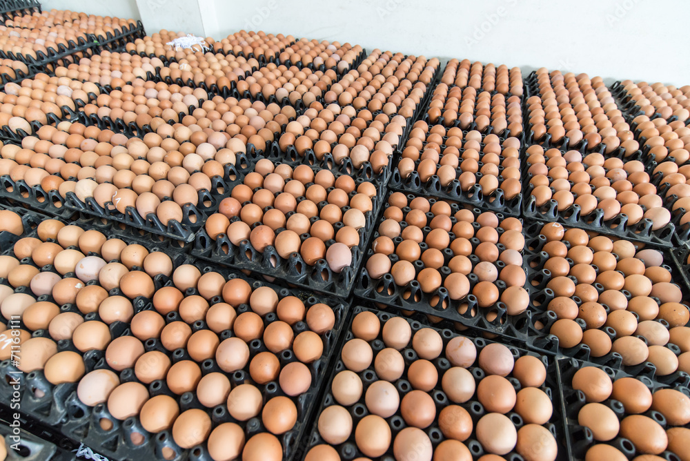 Eggs preserved in panel wholesale market