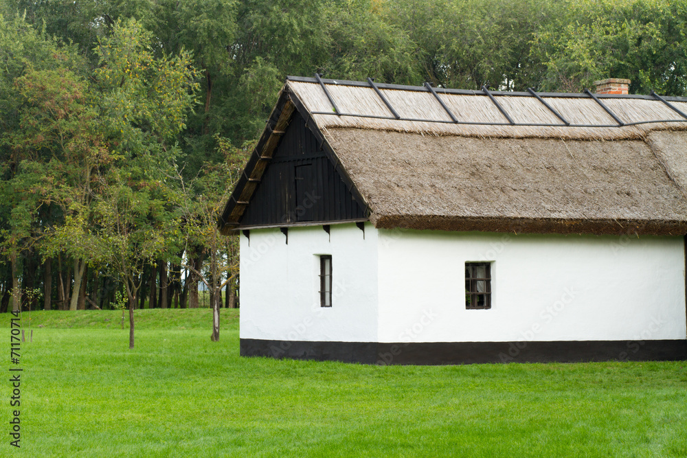 Obraz premium old village house