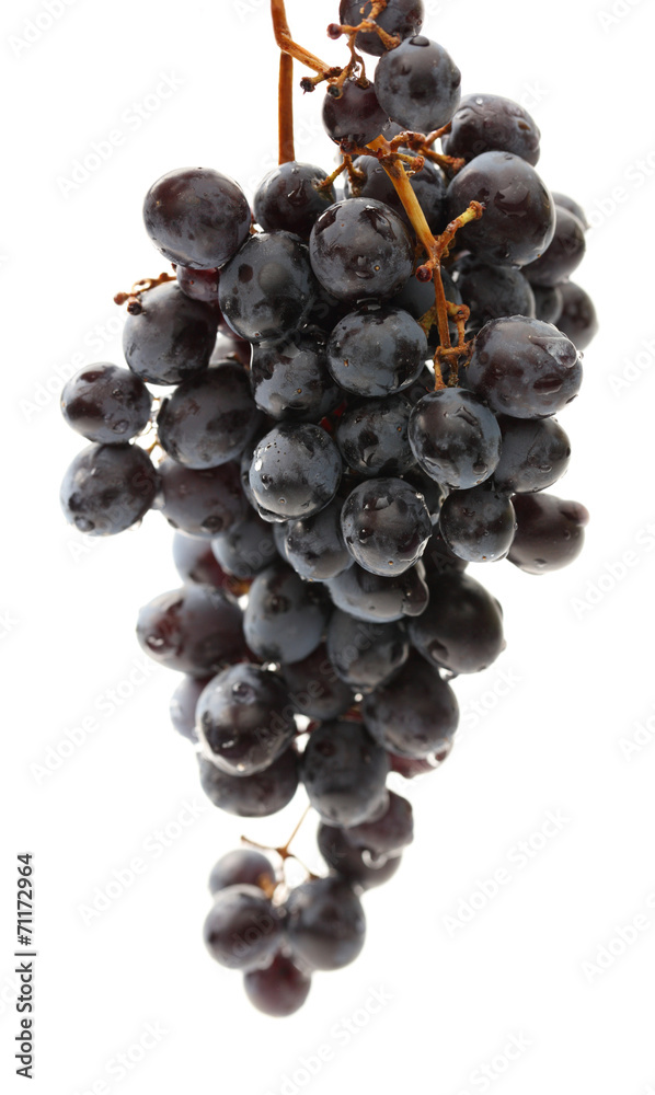 Fototapeta premium Twig of black grape