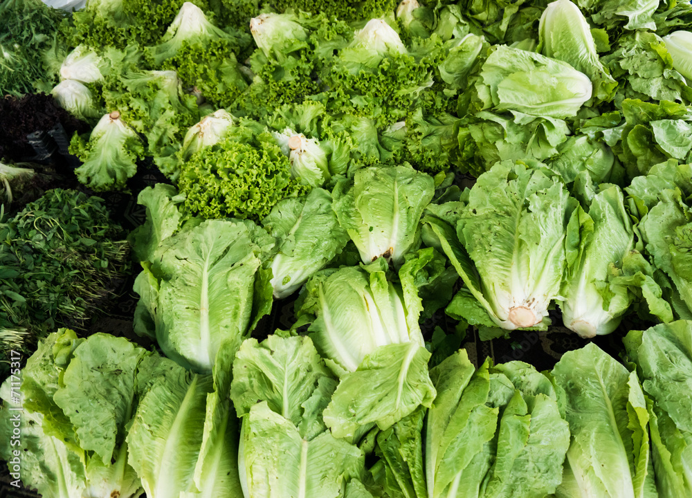 green vegetables in market. Green cabbage and lettuce green vegetables in market. Green cabbage and lettuce