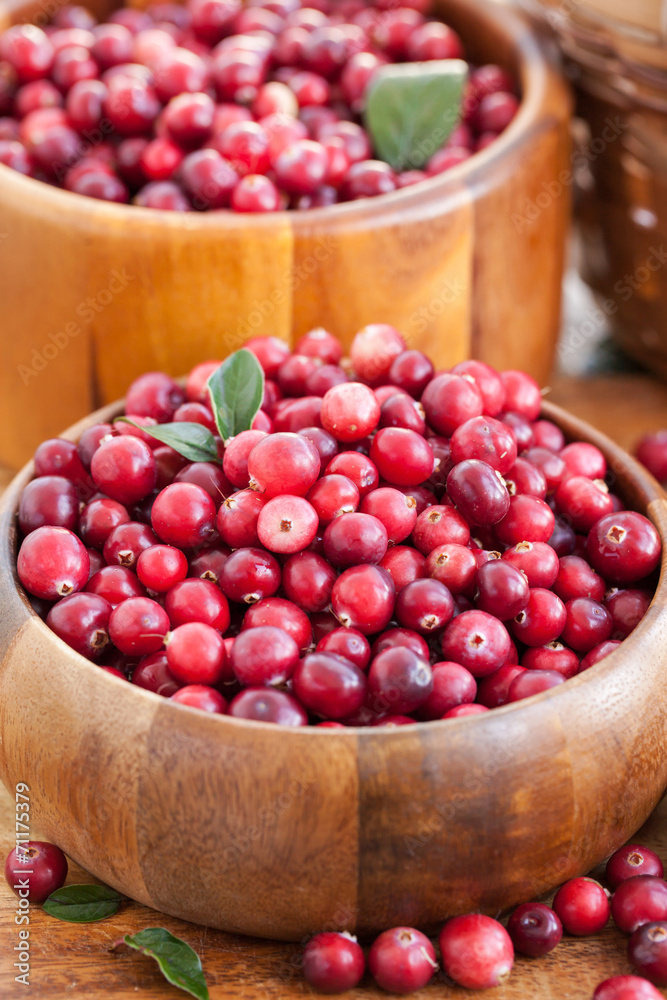 Fresh red cranberry Fresh red cranberry