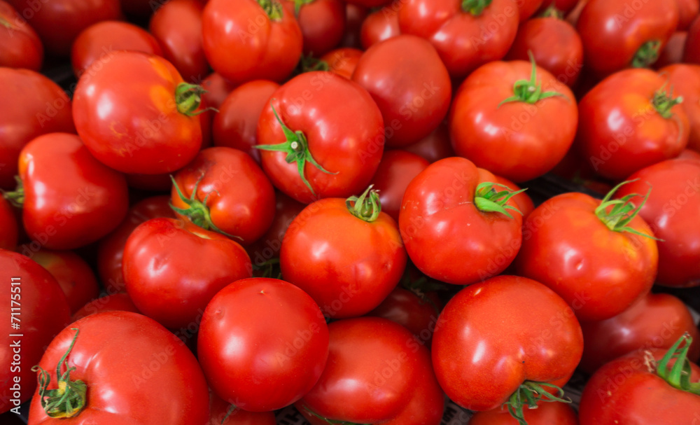 red tomatoes background. Group of tomatoes red tomatoes background. Group of tomatoes