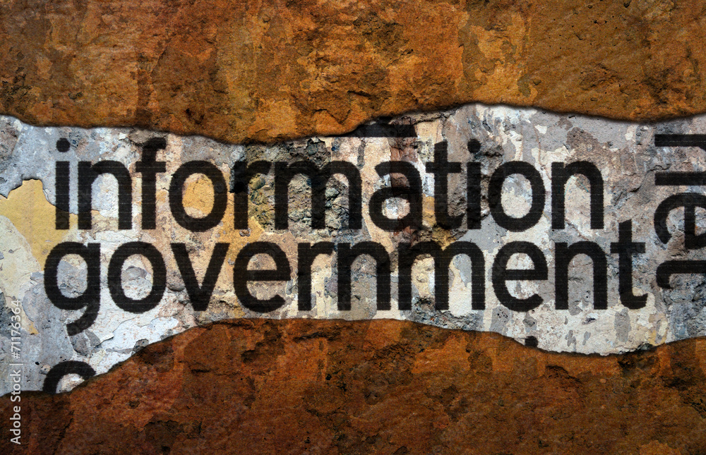 Information government